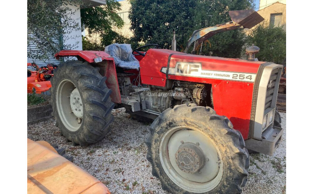 Massey Ferguson 254 Usato - 1