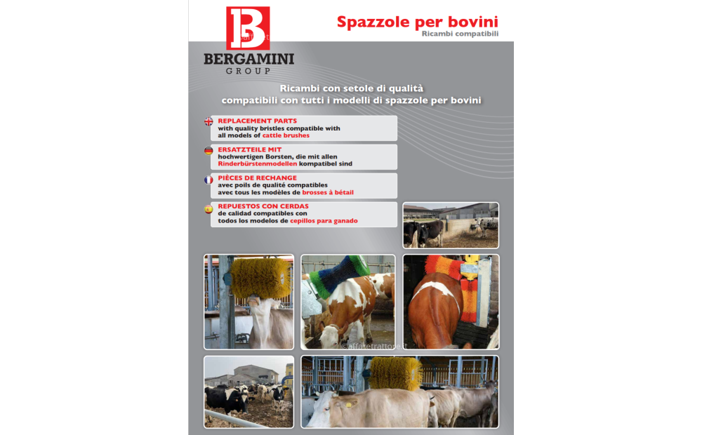 RICAMBI SAPAZZOLE COMPATIBILI AGRICOW - 2