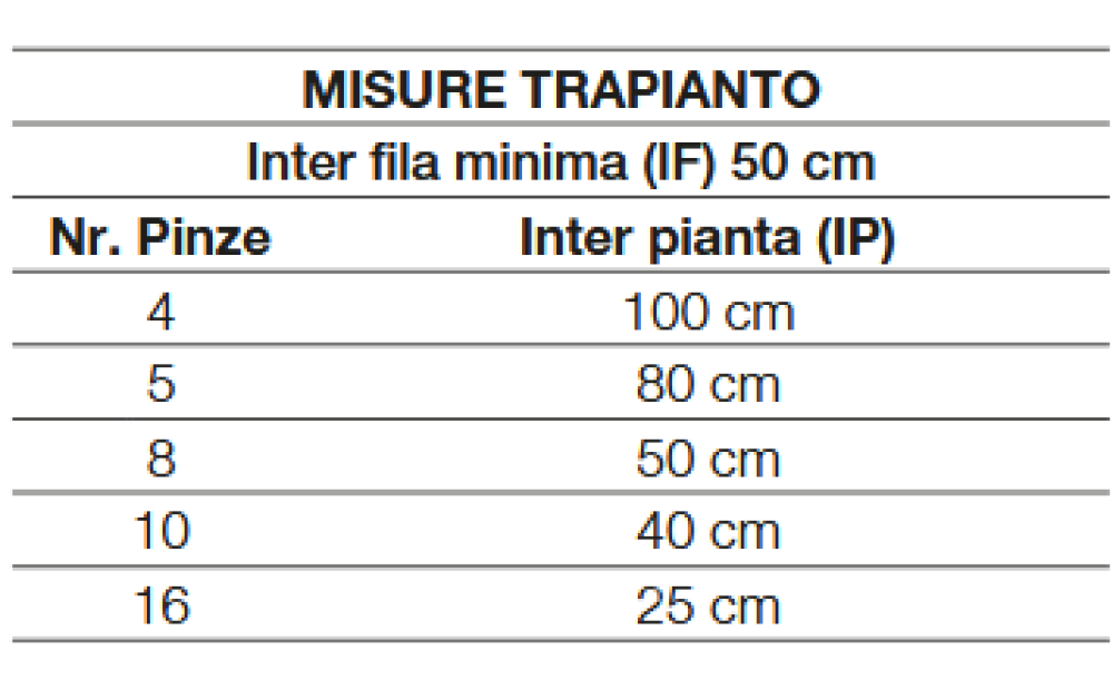 Spapperi TP PIANTATALEE IDRAULICA Nuevo - 2