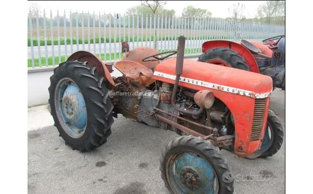 TRATTORE AGRICOLO Massey Ferguson MF135 Usato - 1