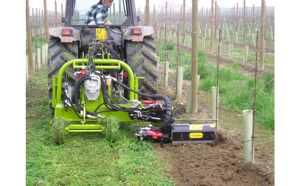 Viñedo Unica entre hileras con mini cultivador Calderoni Nuova - 1