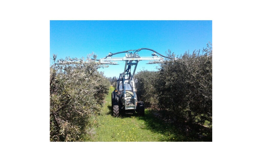 Agricola Nocese Potatrice a dischi per albero da frutto Nuovo - 1