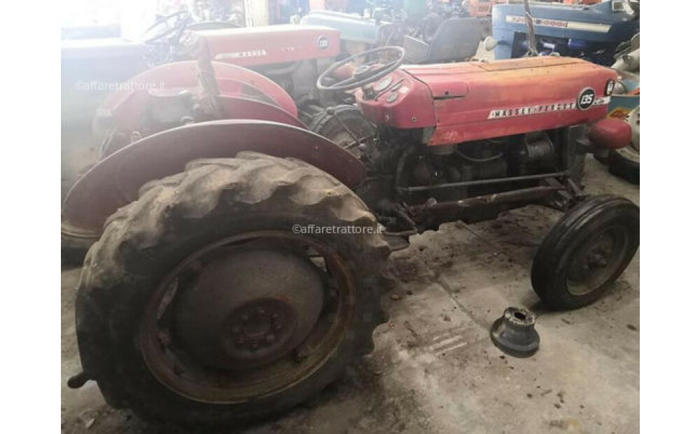 Massey Ferguson 135 Usato - 3