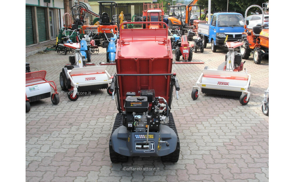 Motocarriola Cingolata GIOR 600 Zanetti Dumper Nuovo - 4